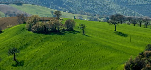 green grass field under blue sky during daytime by Mario Beducci courtesy of Unsplash.